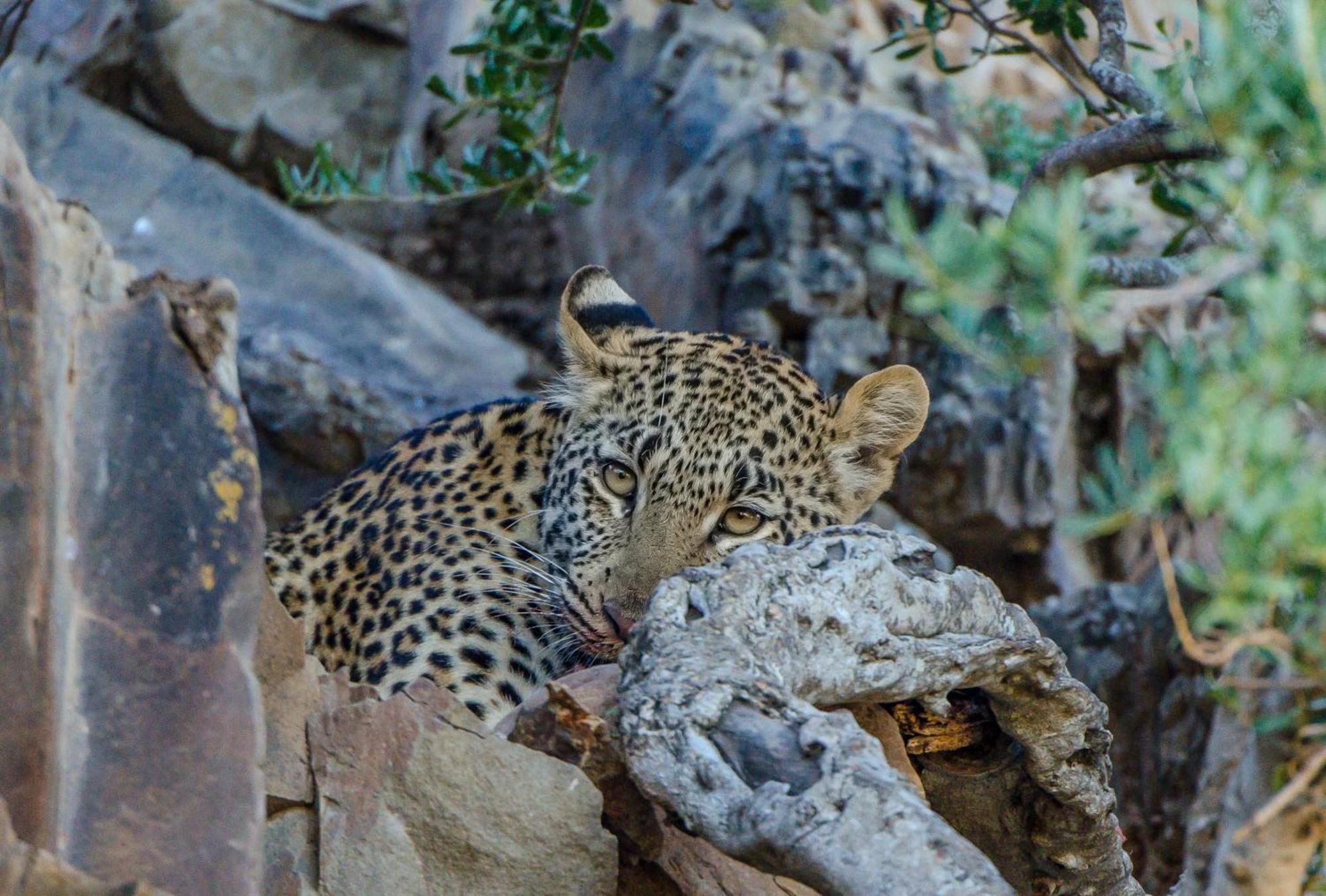 Kwandwe Private Game Reserve - Great Fish River Lodge Ґрейамстаун Екстер'єр фото