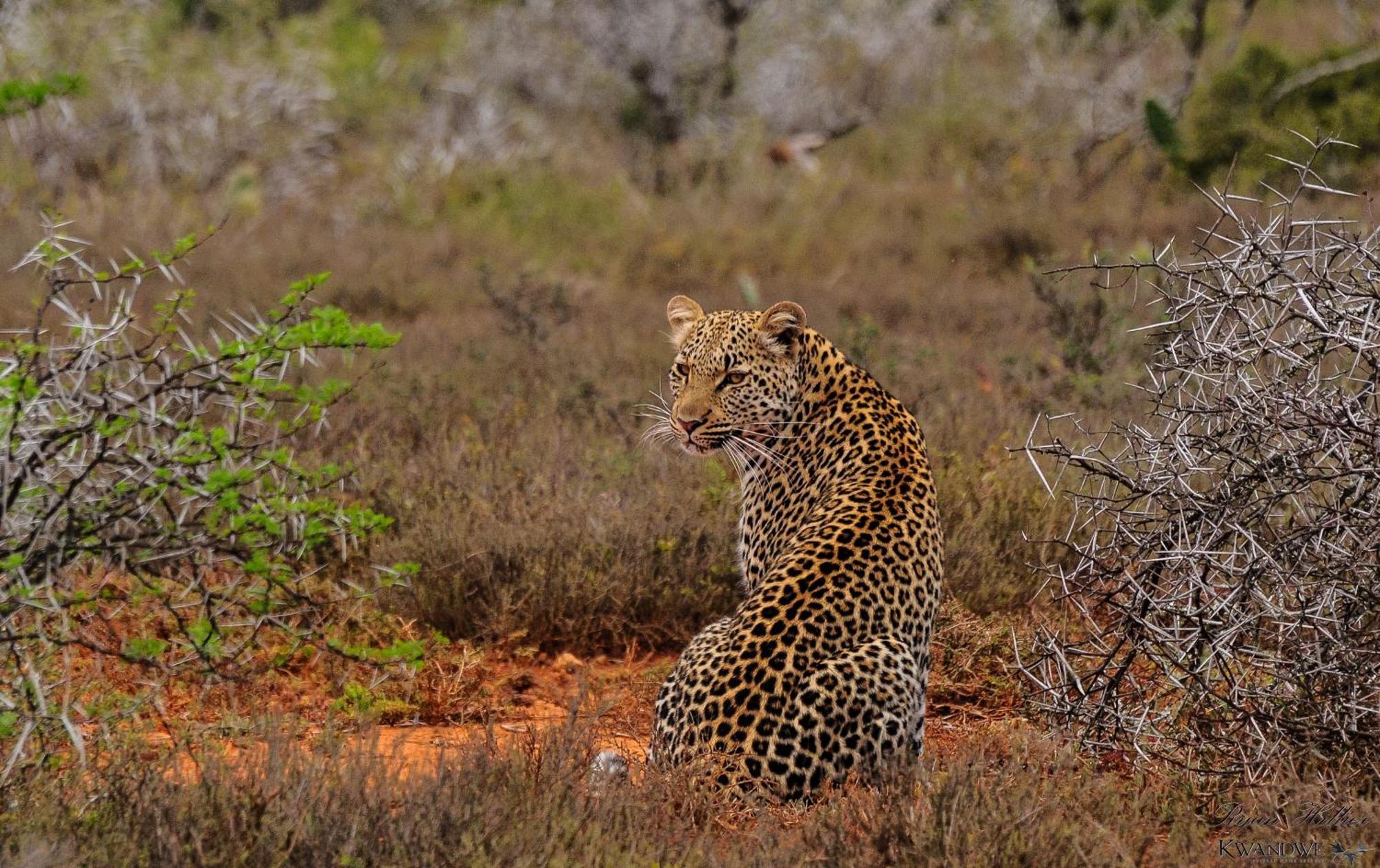 Kwandwe Private Game Reserve - Great Fish River Lodge Ґрейамстаун Екстер'єр фото