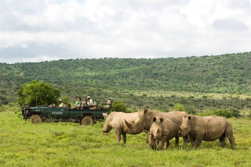 Kwandwe Private Game Reserve - Great Fish River Lodge Ґрейамстаун Екстер'єр фото