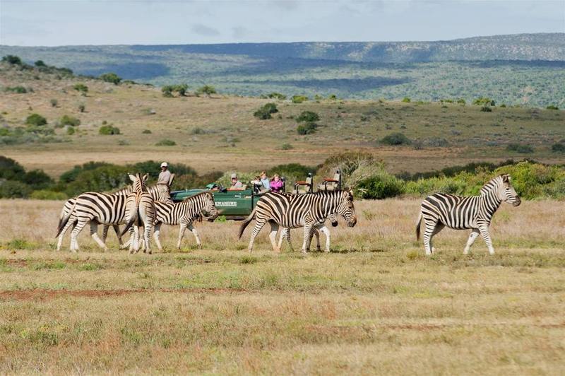Kwandwe Private Game Reserve - Great Fish River Lodge Ґрейамстаун Екстер'єр фото