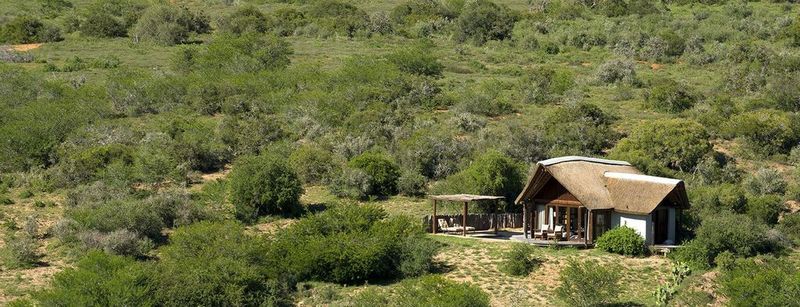 Kwandwe Private Game Reserve - Great Fish River Lodge Ґрейамстаун Екстер'єр фото