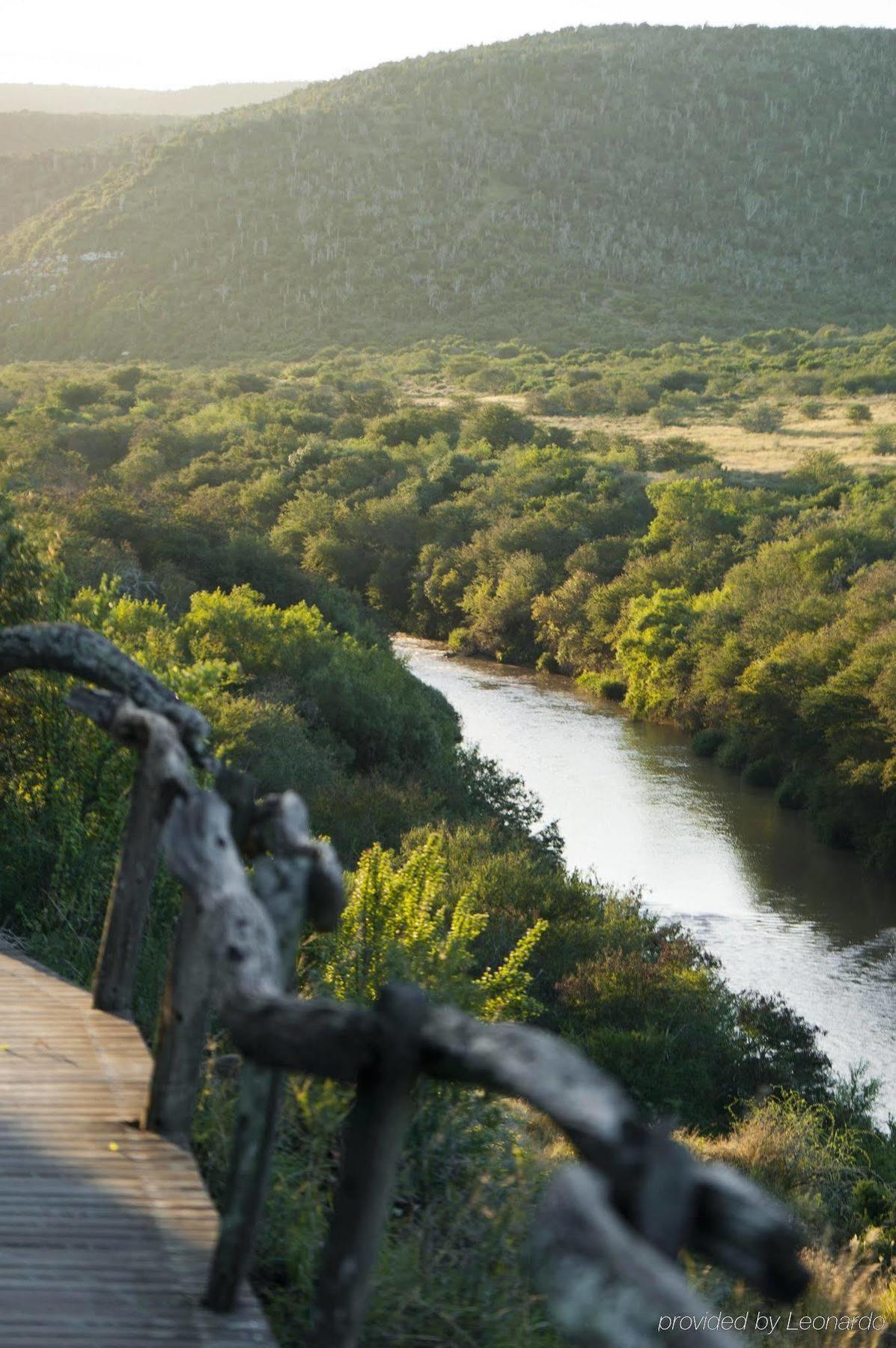 Kwandwe Private Game Reserve - Great Fish River Lodge Ґрейамстаун Екстер'єр фото